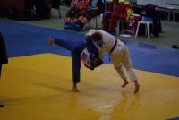 Flanders Judo Cup, Lommel, België.